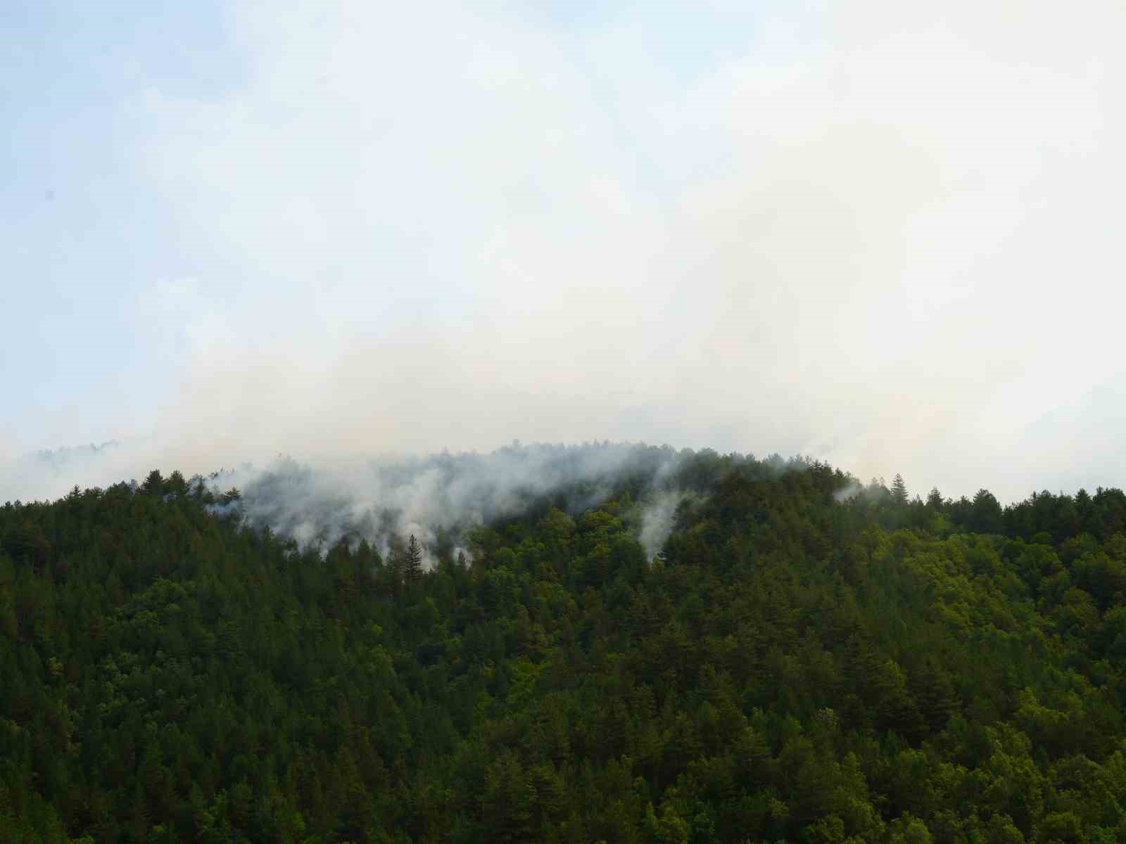 KASTAMONU'NUN İHSANGAZİ İLÇESİNDE YILDIRIM DÜŞMESİ NETİCESİNDE ORMANLIK ALANDA ÇIKAN YANGINA