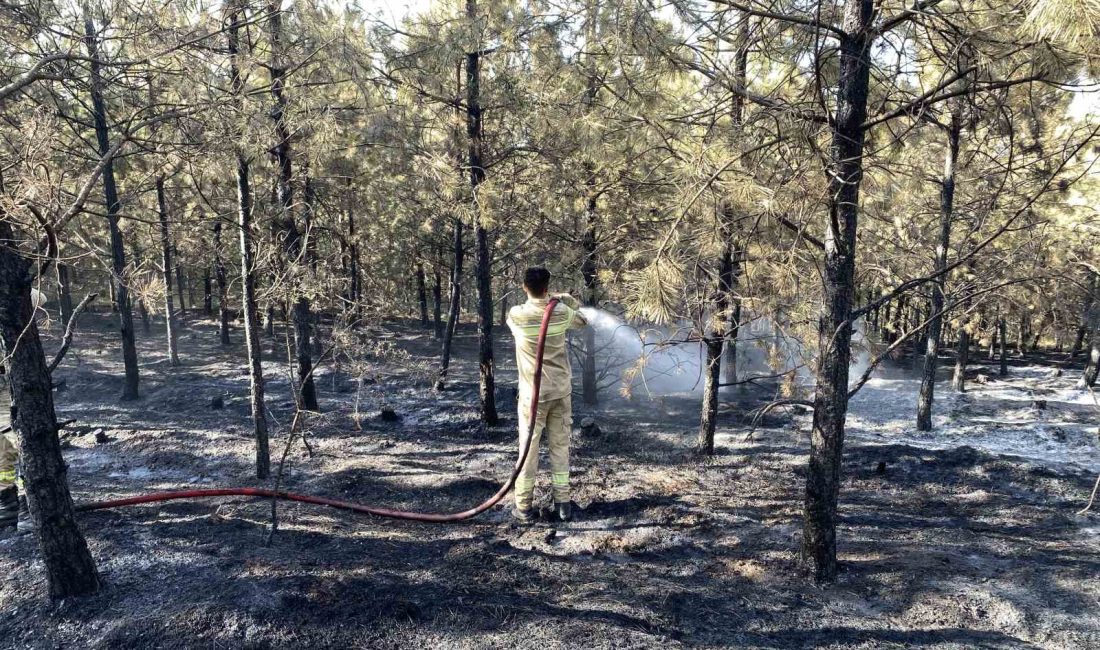 KASTAMONU'DA ÇIKAN ORMAN YANGINI HAVADAN VE KARADAN YAPILAN MÜDAHALELER İLE