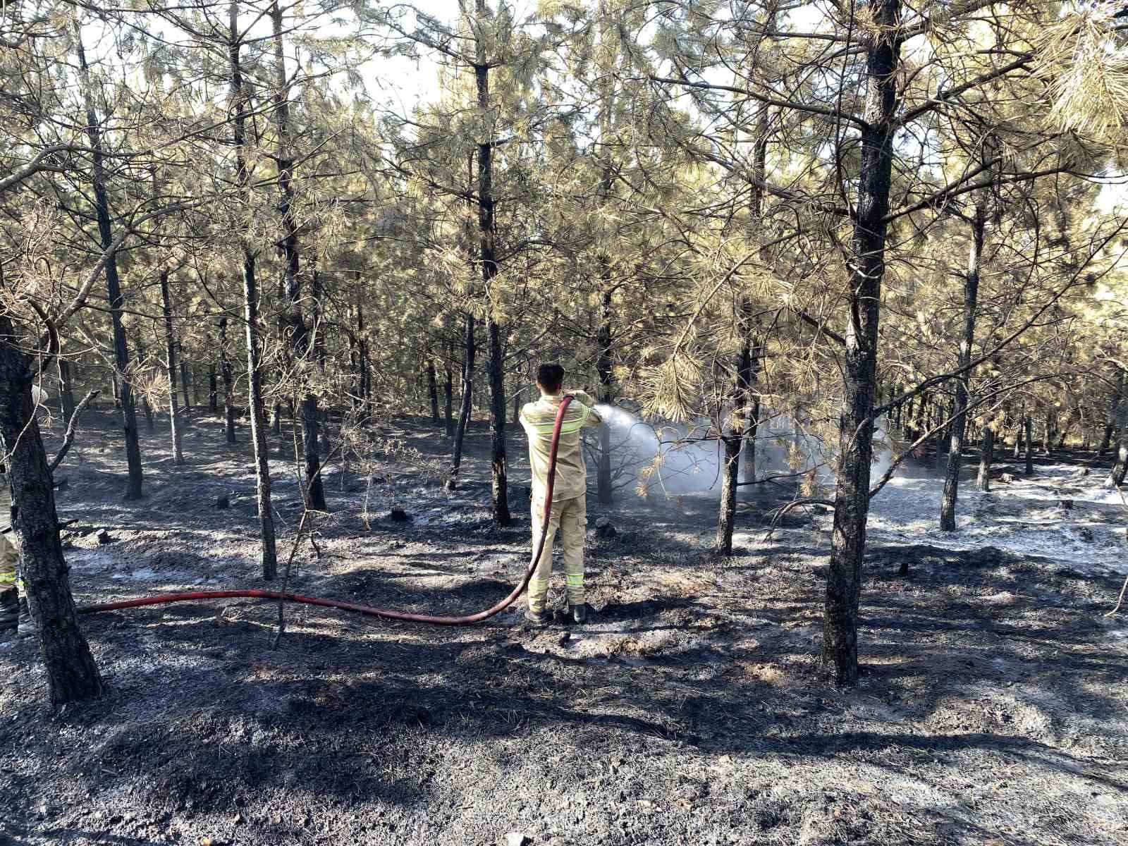 KASTAMONU'DA ÇIKAN ORMAN YANGINI HAVADAN VE KARADAN YAPILAN MÜDAHALELER İLE