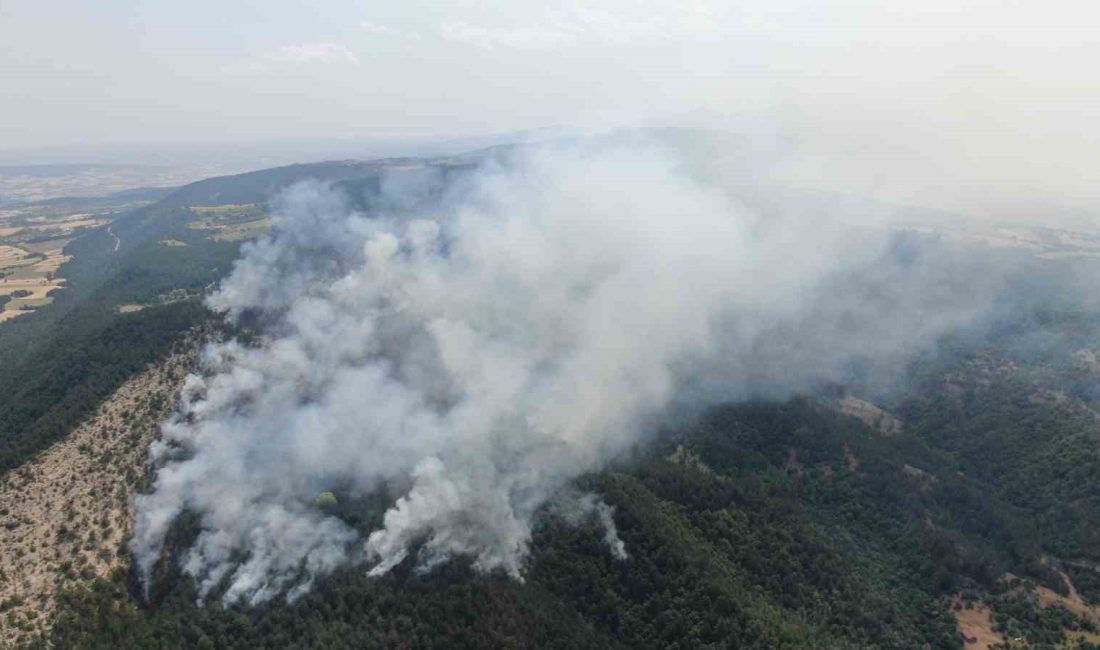 KASTAMONU’NUN İHSANGAZİ İLÇESİNDE ÇIKAN ORMAN YANGININA MÜDAHALE 17 SAATTİR SÜRÜYOR.