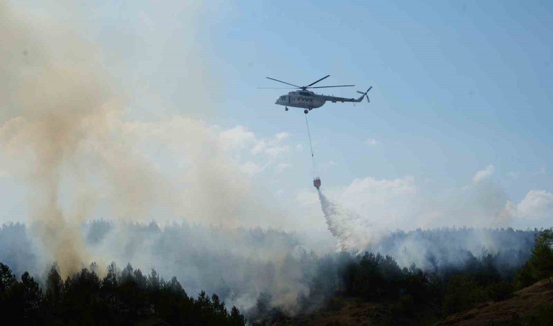 KASTAMONU'DA ÇIKAN ORMAN YANGININA MÜDAHALE HAVADAN VE KARADAN DEVAM EDİYOR.