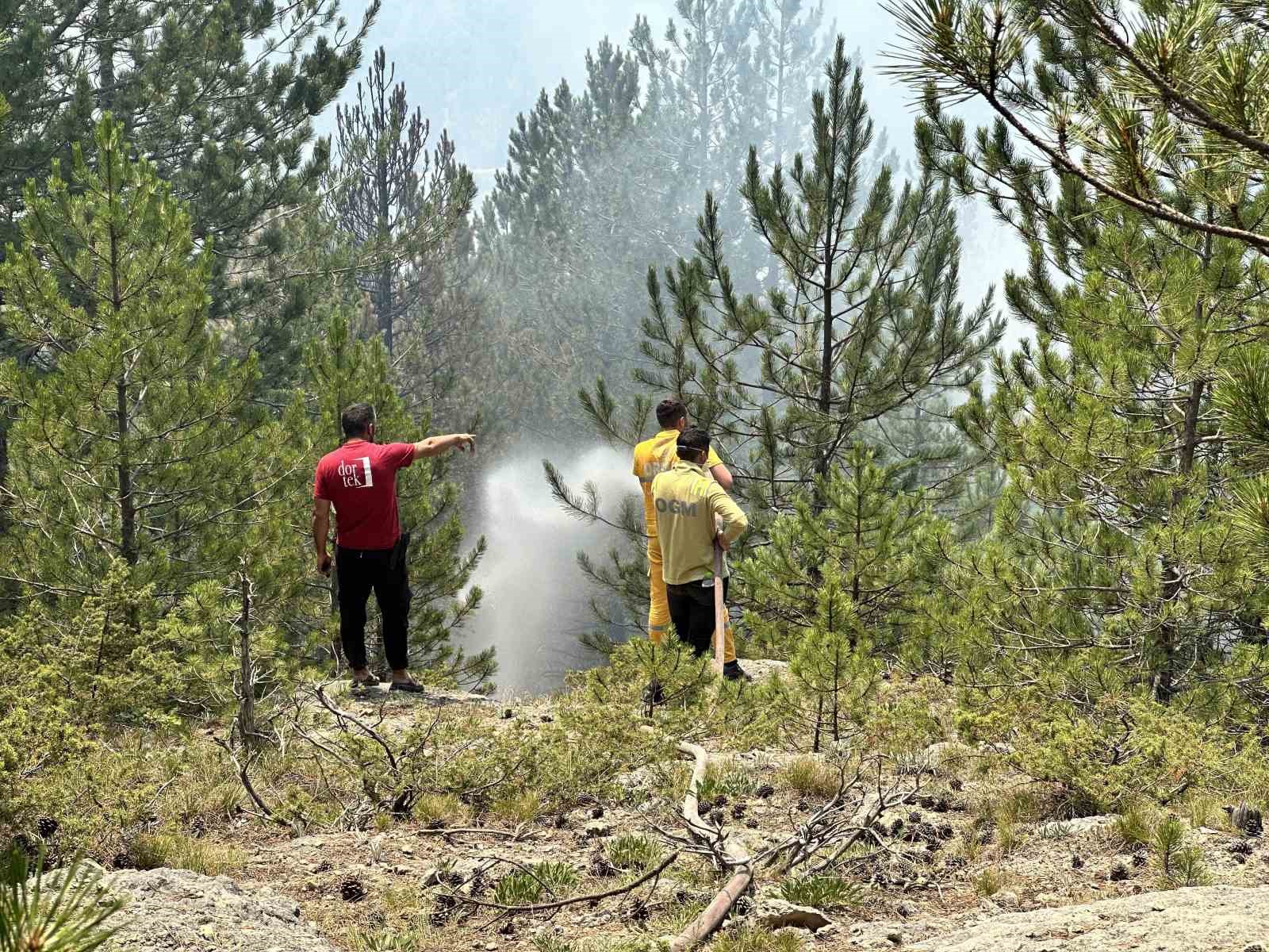 KASTAMONU'NUN İHSANGAZİ VE AZDAVAY İLÇELERİNDE ÇIKAN ORMAN YANGINLARI, KONTROL ALTINA