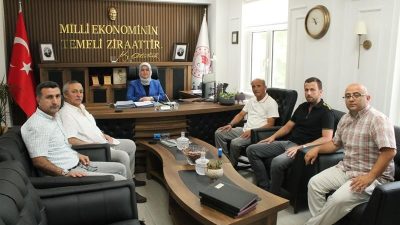 TARIM VE ORMAN BAKANLIĞI TARAFINDAN UYGULANMAKTA OLAN KIRSAL KALKINMA YATIRIMLARININ