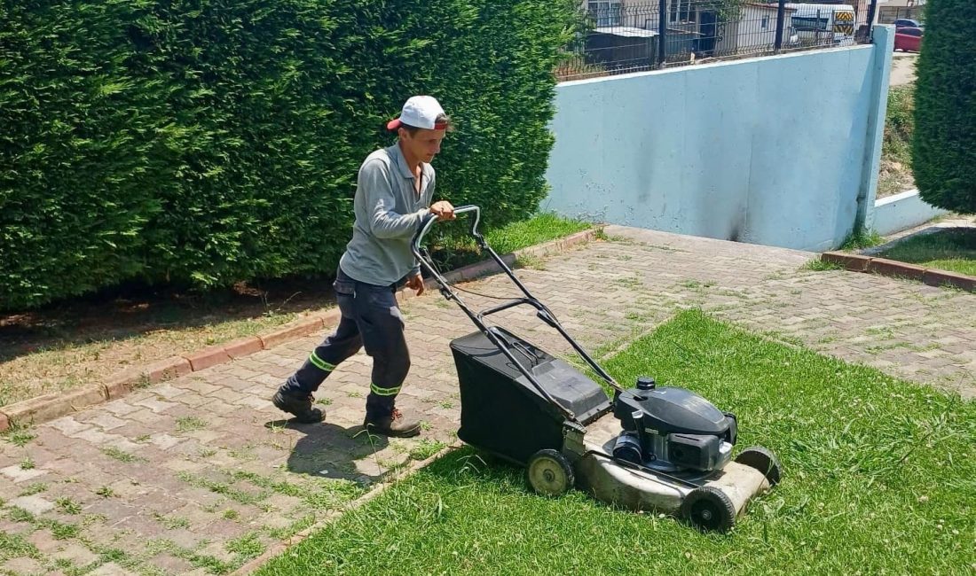 KÖRFEZ'DE YAZ AYLARINDA ÇOCUKLAR