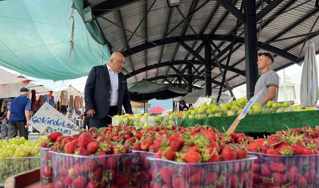 TÜRKİYE SEBZECİLER, MEYVECİLER VE