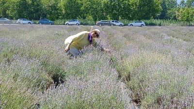 KORONAVİRÜS PANDEMİSİ DÖNEMİNDE EŞİNİN KÖYÜNE YERLEŞEN MATEMATİK ÖĞRETMENİ ESRA ESER