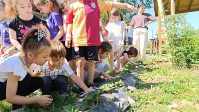 DÜZCE BELEDİYESİ İŞTİRAKİ BELKA İNSAN KAYNAKLARI A.Ş BÜNYESİNDE KURULAN GÜNDÜZ