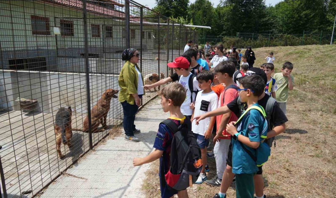 TÜGVA YAZ OKULLARINDA EĞİTİM