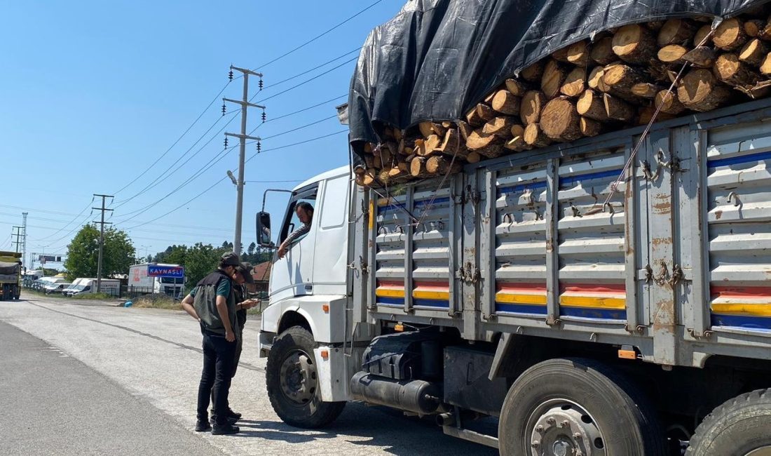 DÜZCE ORMAN İŞLETME MÜDÜRLÜĞÜNDE