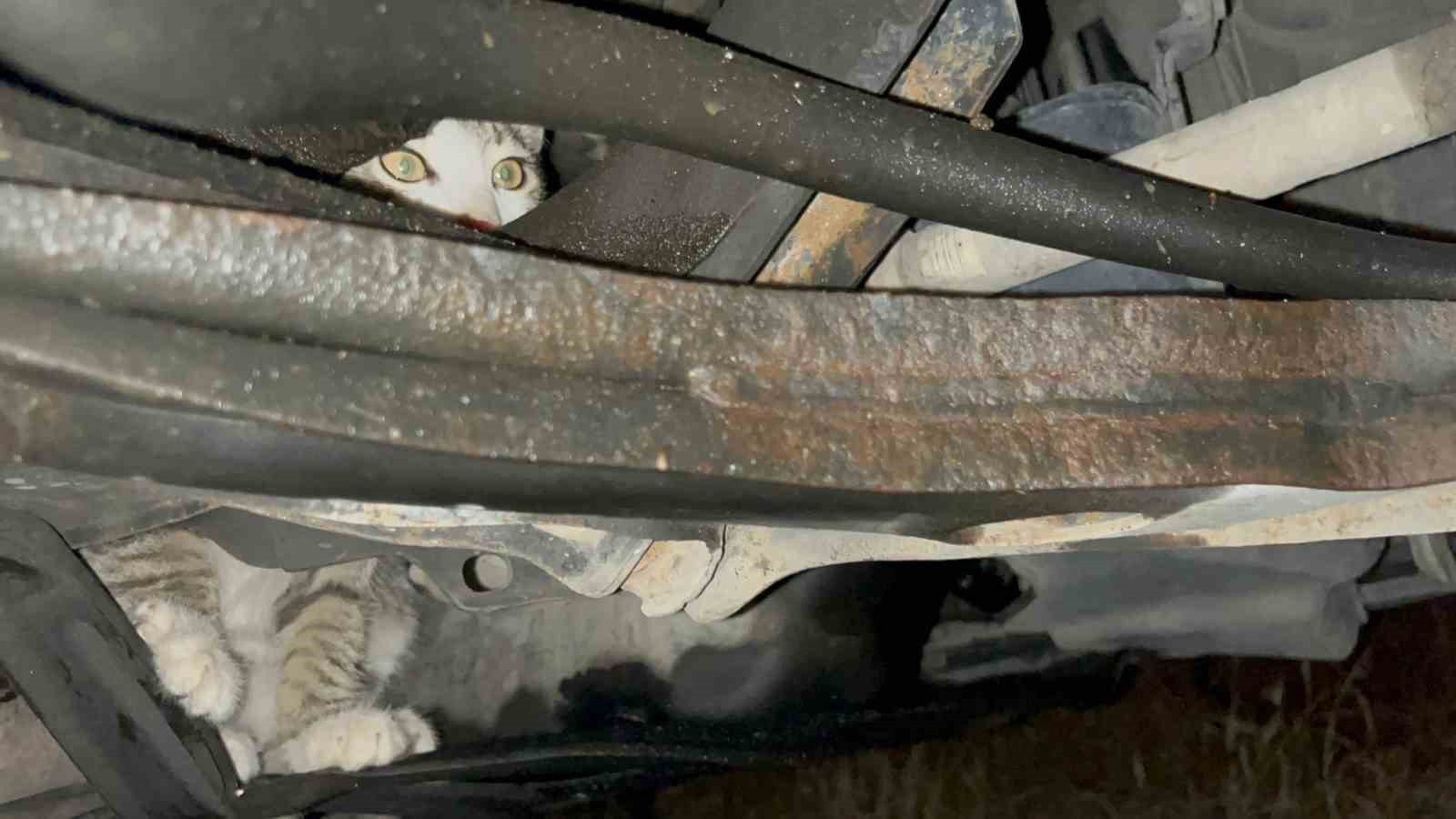 Otomobilin motoruna giren inatçı kedi otoparkta araçtan araca koştu