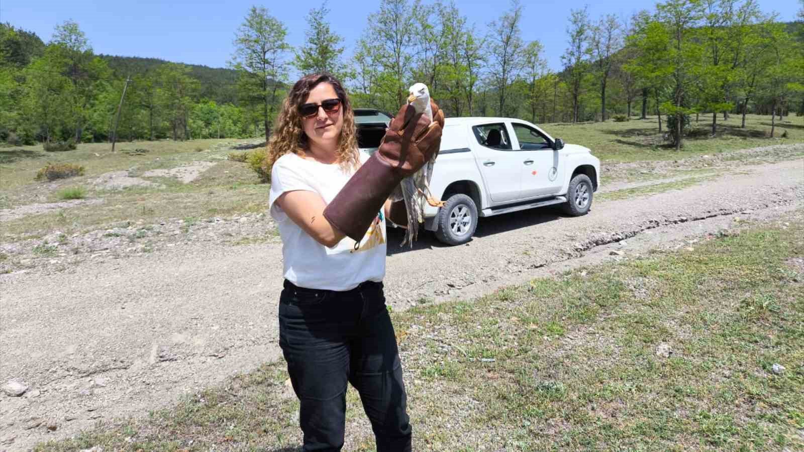 KASTAMONU’DA DOĞA KORUMA VE MİLLİ PARKLAR (DKMP) 10. BÖLGE MÜDÜRLÜĞÜ