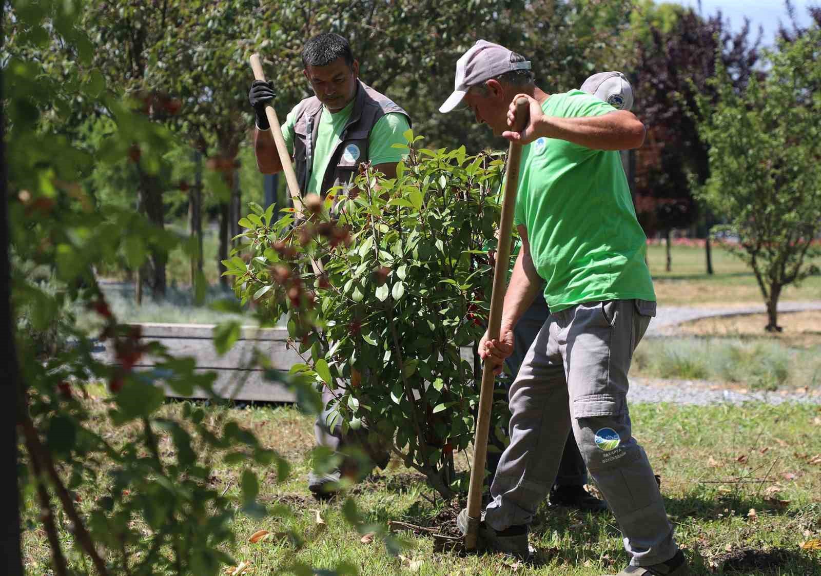 Sakarya Büyükşehir Belediyesi’nden şehre estetik dokunuş