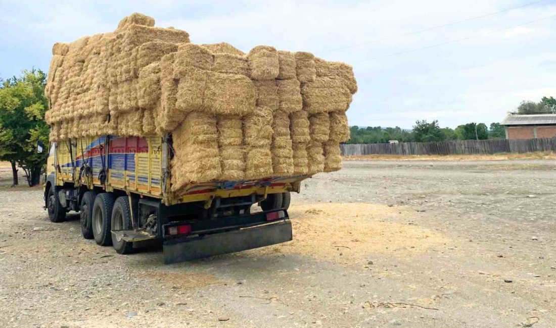 KASTAMONU İL EMNİYET MÜDÜRLÜĞÜ BÖLGE TRAFİK DENETLEME ŞUBE MÜDÜRLÜĞÜ EKİPLERİ,