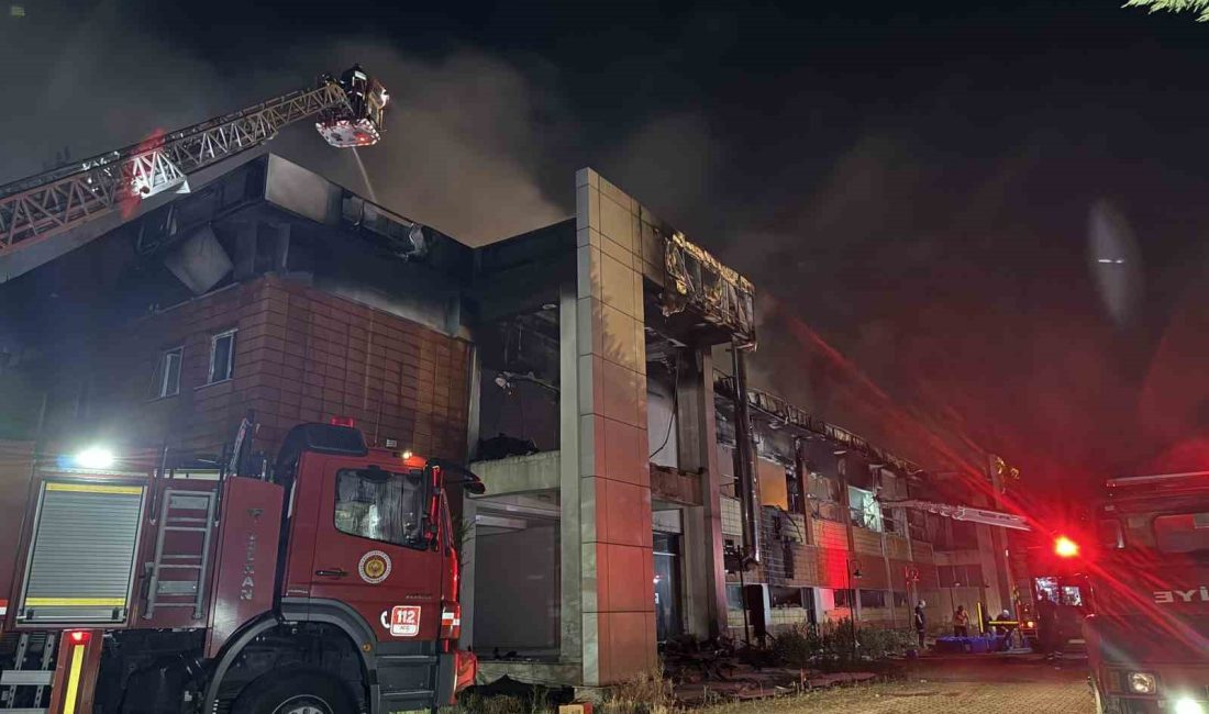 SAKARYA’NIN ARİFİYE İLÇESİNDE BULUNAN