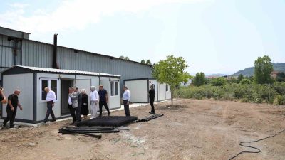 DÜZCE’DE SAHİPSİZ SOKAK HAYVANLARI SORUNUNUN ÇÖZÜMÜ İÇİN İLÇELERDE İLKYARDIM VE