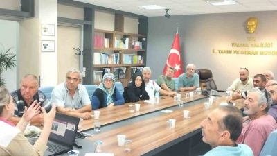 YALOVA’DA 2024 YILINDA HAYATA GEÇİRİLEN “CEVİZDE İYİ TARIM UYGULAMALARININ YAYGINLAŞTIRILMASI