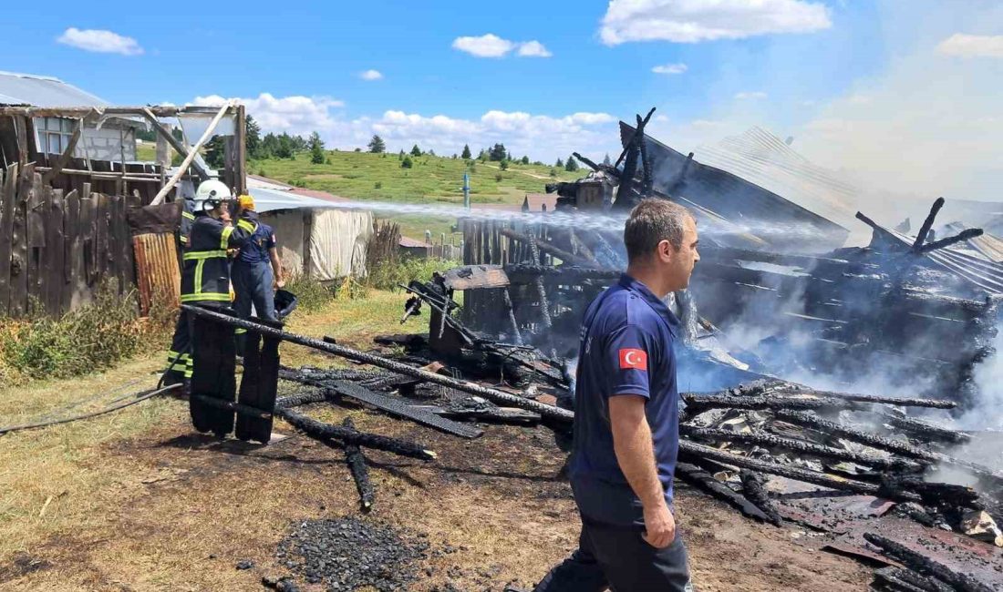 BOLU’DA KOÇUMLAR KÖYÜ YAYLASINDA