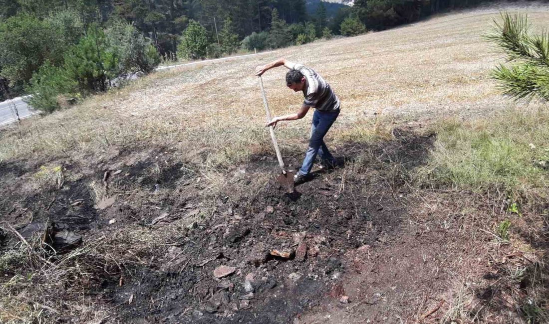 BOLU’DA YOL KENARINA ATILAN