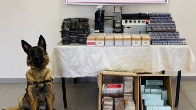 DÜZCE’DE JANDARMA EKİPLERİ TARAFINDAN YAPILAN OPERASYONDA 4 BİN 800 ADET