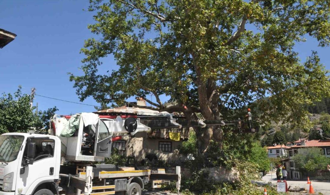 BOLU’NUN MUDURNU İLÇESİNİN MEYDANINDA