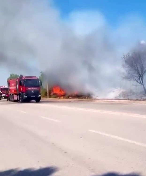 Ağaçlık alanda çıkan yangın itfaiye tarafından söndürüldü