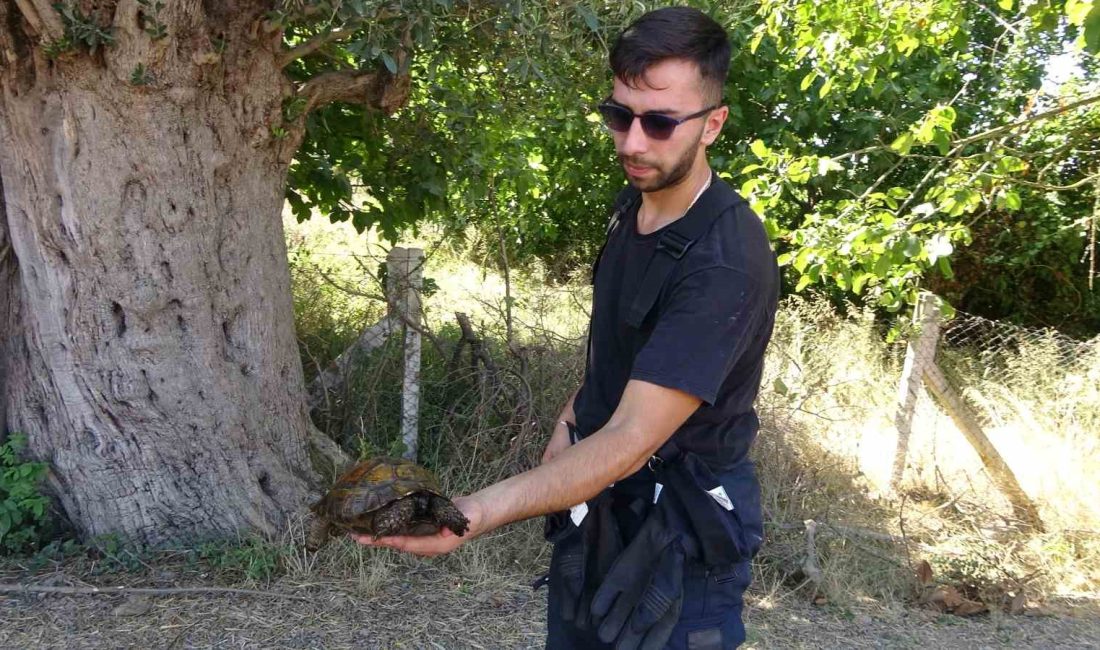 EKİPLER TARAFINDAN YANGIN SÖNDÜRÜLÜRKEN,