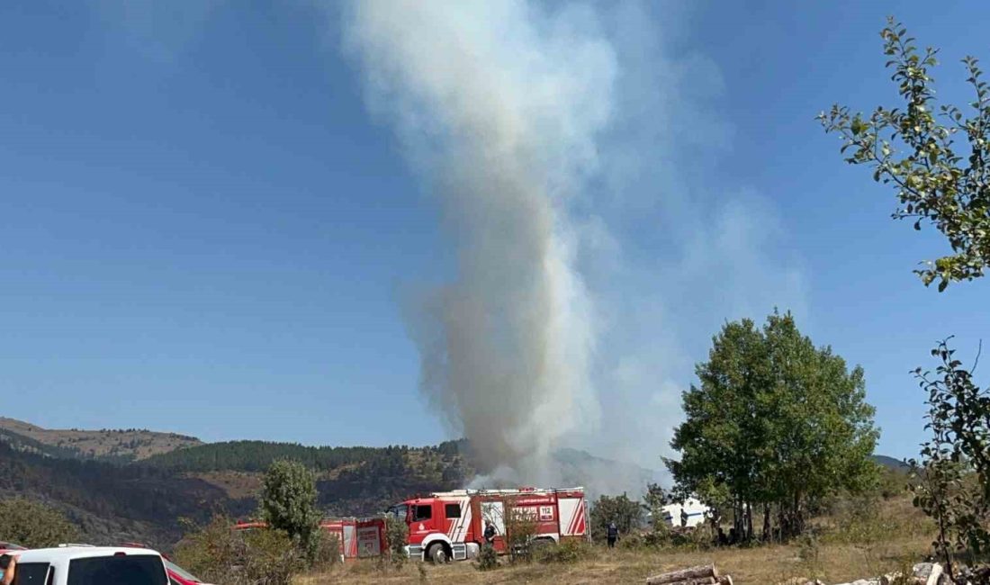 BOLU'NUN GEREDE İLÇESİNDE YANGIN