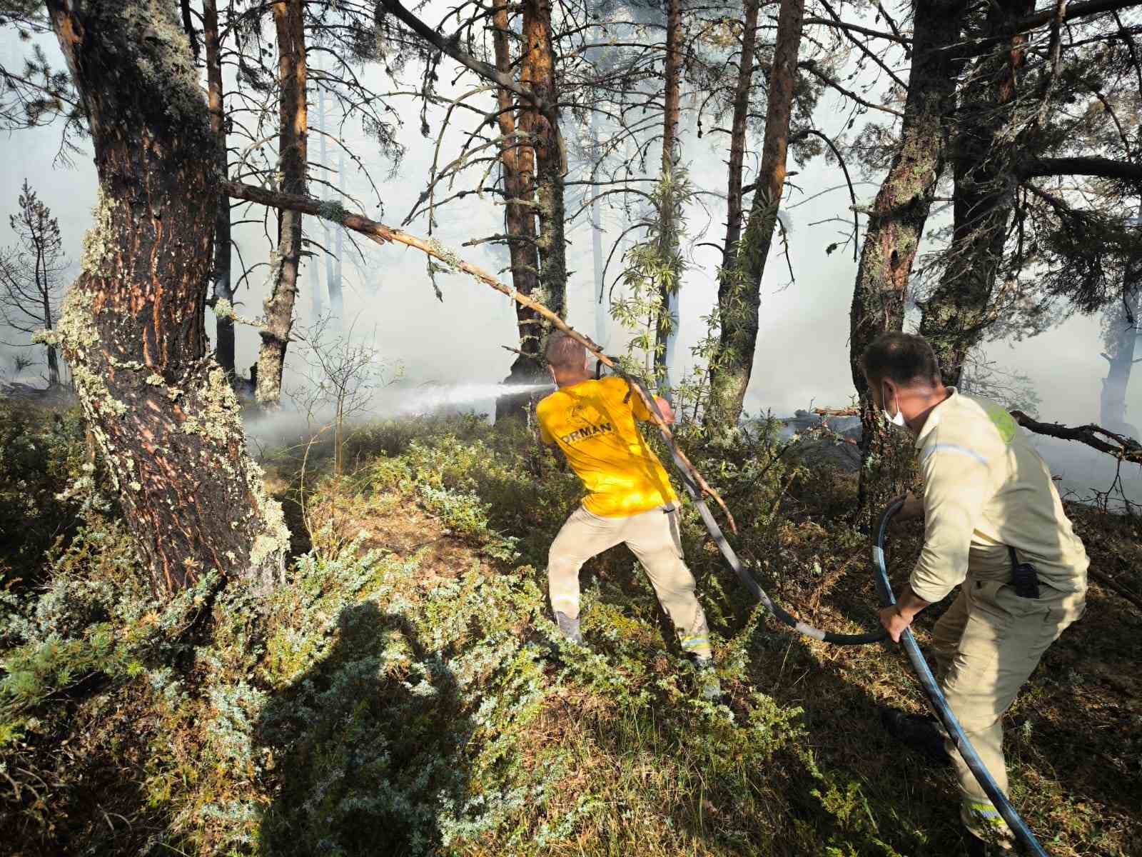 Ankara-Bolu sınırındaki yangına günün ilk ışıklarıyla havadan müdahale başladı