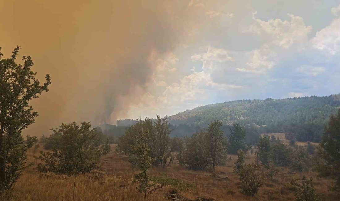 ANKARA-BOLU SINIRINDA KIZILCAHAMAM İLÇESİNDE