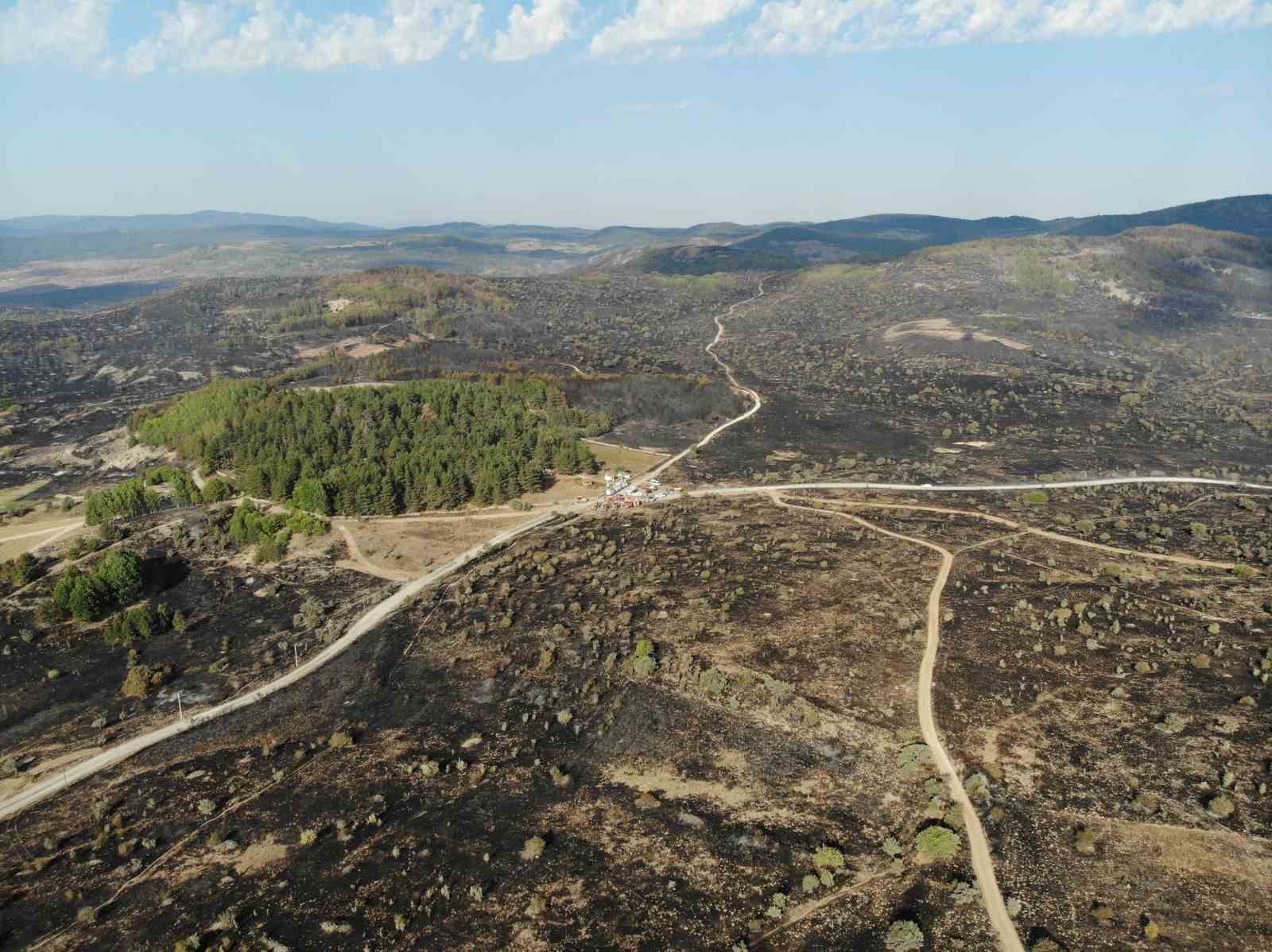 Ankara’dan Bolu’ya sıçrayan yangın 22 saat sonra kontrol altına alındı