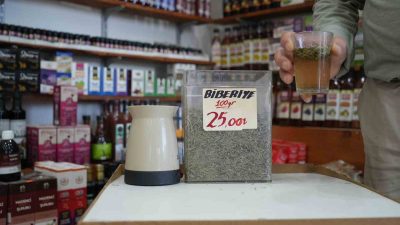 SON DÖNEMDE SAÇ BAKIMI İÇİN DOĞAL ÇÖZÜMLER ARAYANLARIN FAVORİSİ HALİNE