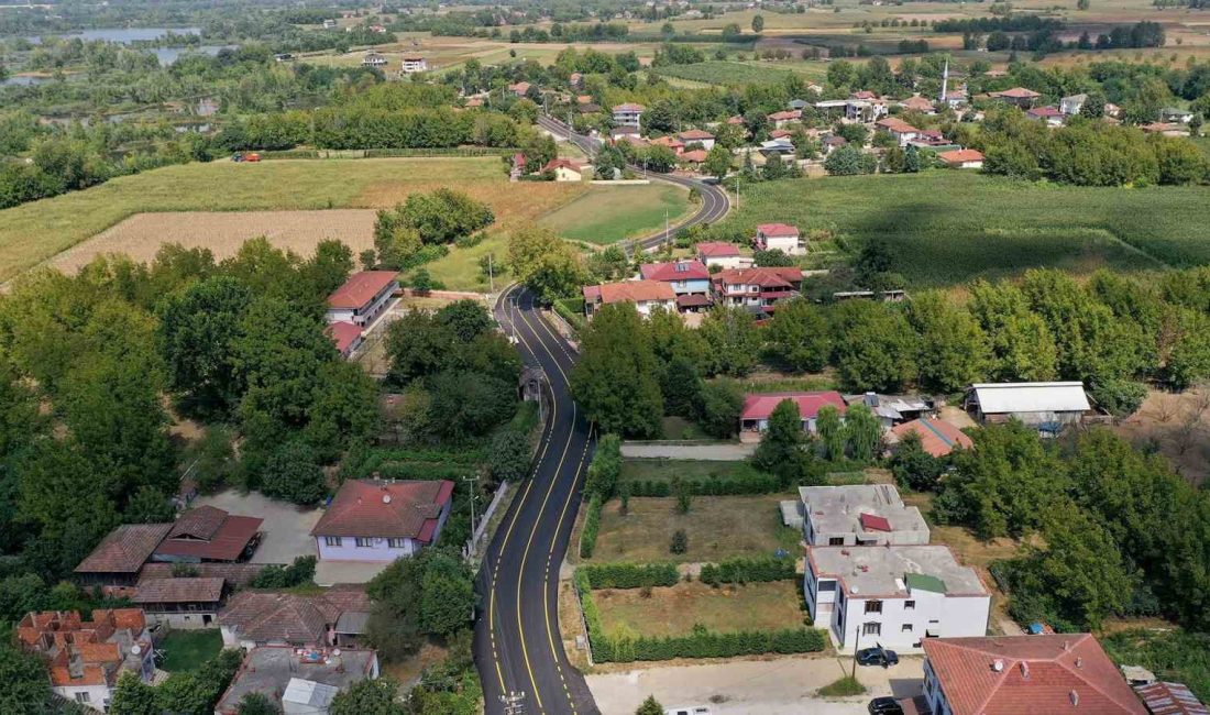 SAKARYA BÜYÜKŞEHİR BELEDİYESİ, BAŞLATTIĞI