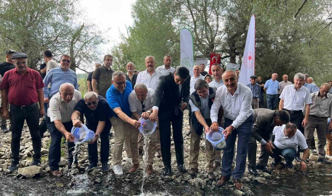 KASTAMONU'NUN DADAY İLÇESİNDE 150 KİLOMETRE UZUNLUĞA SAHİP DEVREKANİ ÇAYI'NA 5