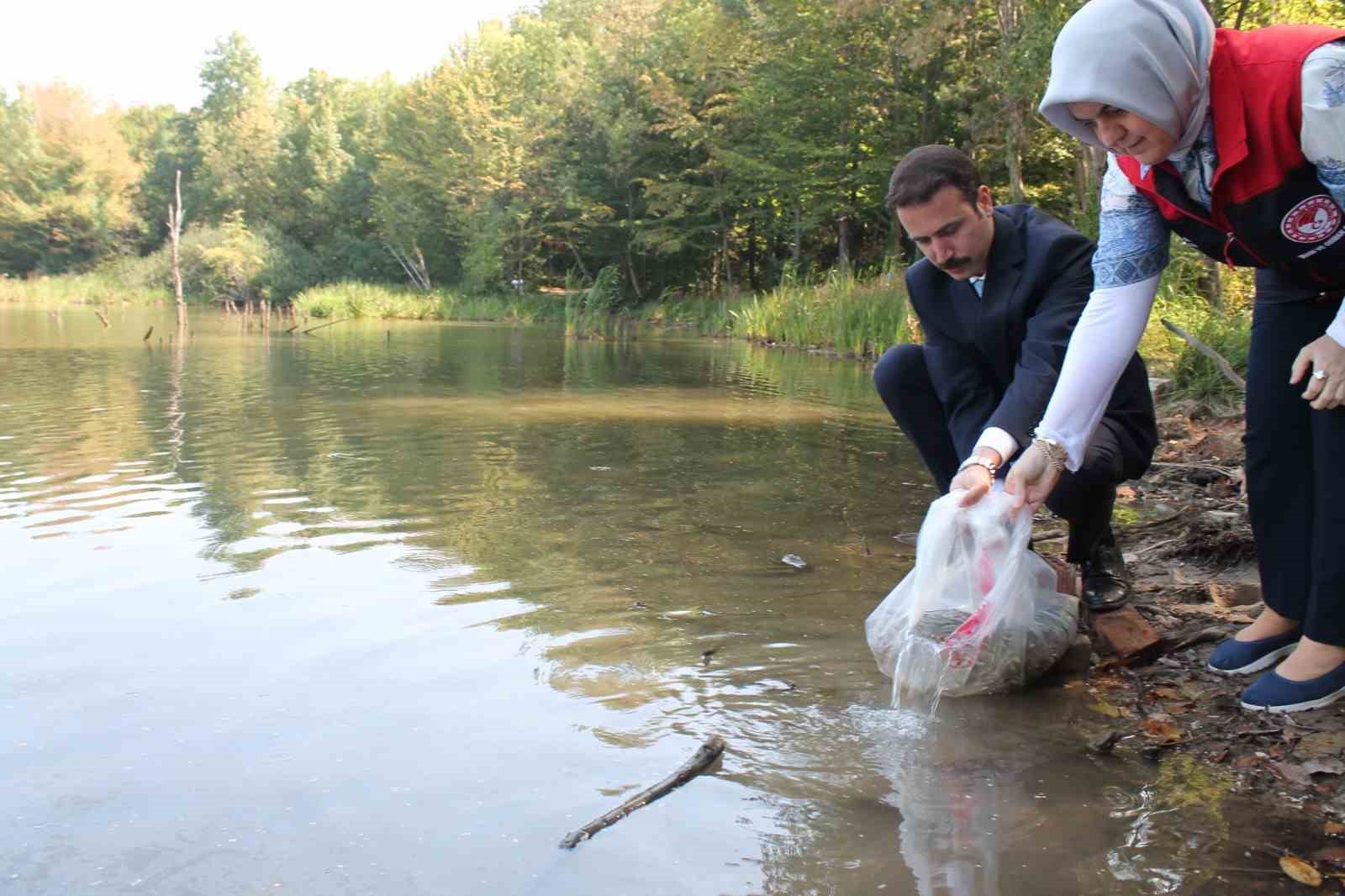 Düzce’de göl ve göletlere 35 bin sazan bırakıldı