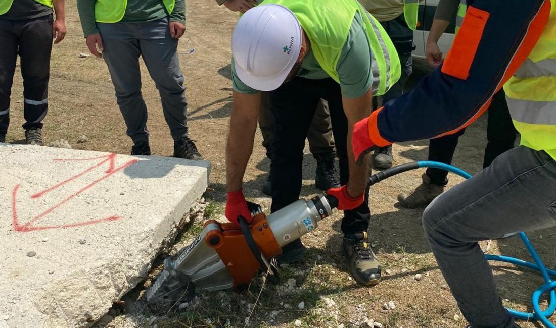 ORMAN GENEL MÜDÜRLÜĞÜ TARAFINDAN