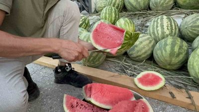 DÜZCE’DE SON DÖNEMDE ÇİFTÇİLER TARAFINDAN OLDUKÇA RAĞBET GÖREN VE TADIYLA