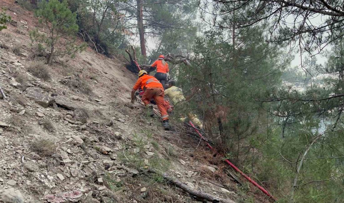 BOLU'NUN GÖYNÜK İLÇESİNDE ÇIKAN