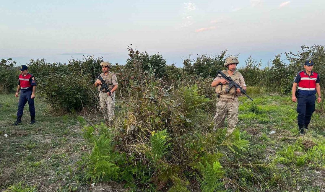 KOCAELİ'DE JANDARMA EKİPLERİ, TARLALARDA