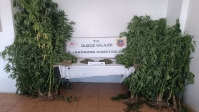 DÜZCE’DE JANDARMA EKİPLERİ TARAFINDAN YAPILAN ÇALIŞMADA BİN 149 GRAM UYUŞTURUCU