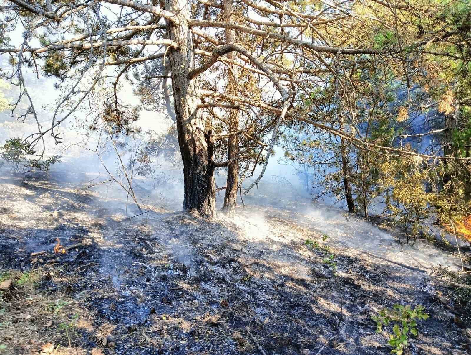 KASTAMONU'NUN DADAY İLÇESİNDE ORMANLIK ALANDA ÇIKAN YANGIN EKİPLERİN MÜDAHALESİ İLE