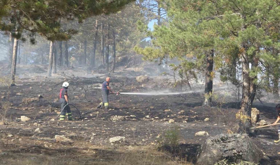 KASTAMONU-İSTANBUL KARAYOLU ÜZERİNDE ORMANLIK ALANDA ÇIKAN YANGIN EKİPLERİN MÜDAHALESİ SONUCU