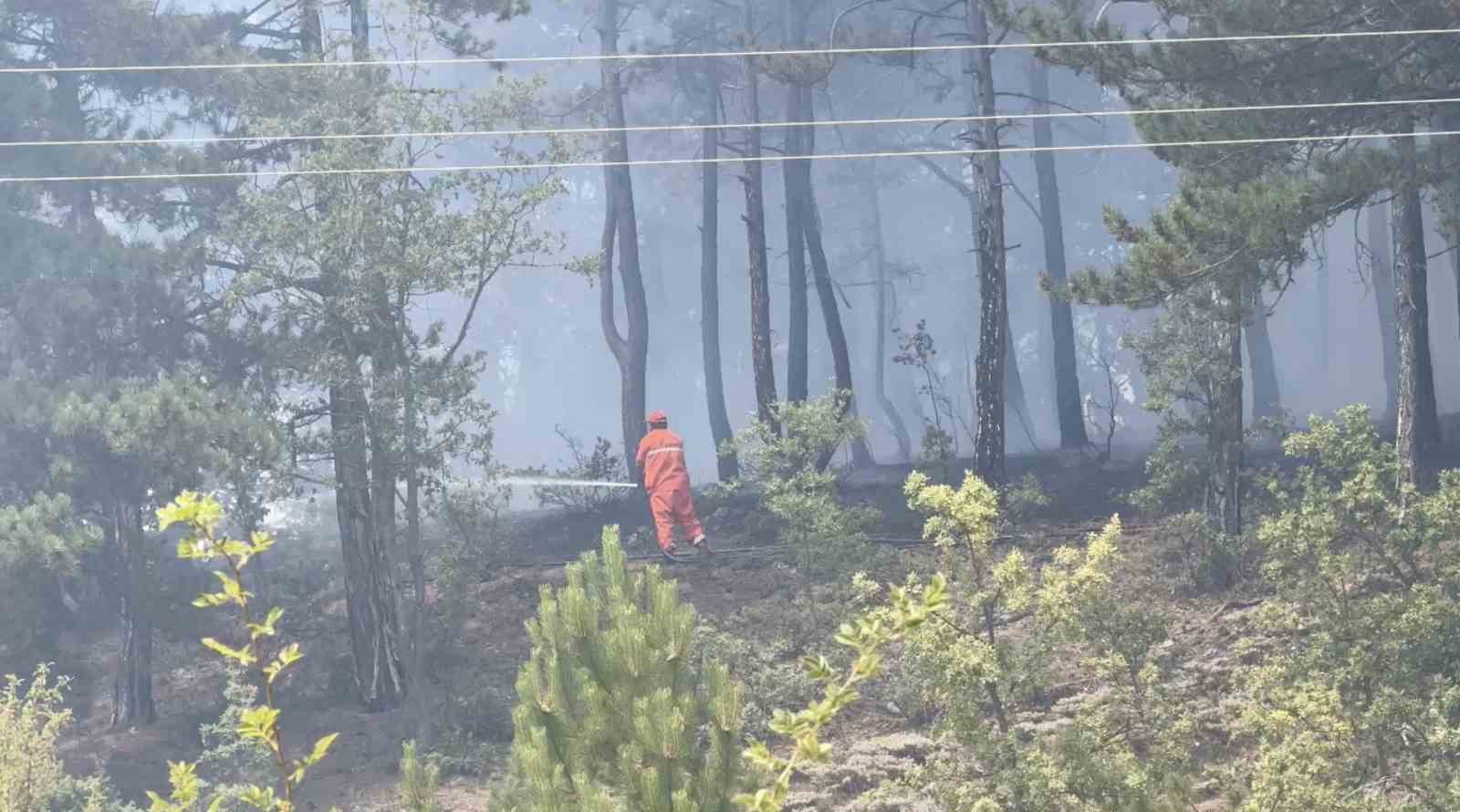 KASTAMONU'NUN HANÖNÜ VE TAŞKÖPRÜ İLÇELERİ SINIRINDA BULUNAN ORMANLIK ALANDA YANGIN