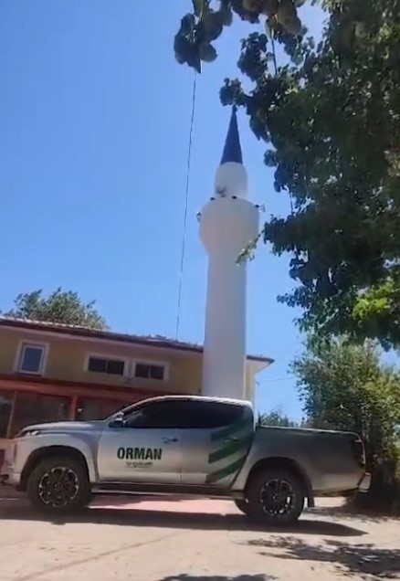 KASTAMONU ORMAN BÖLGE MÜDÜRLÜĞÜ'NE BAĞLI KASTAMONU ORMAN İŞLETME ŞEFLİĞİ EKİPLERİ,