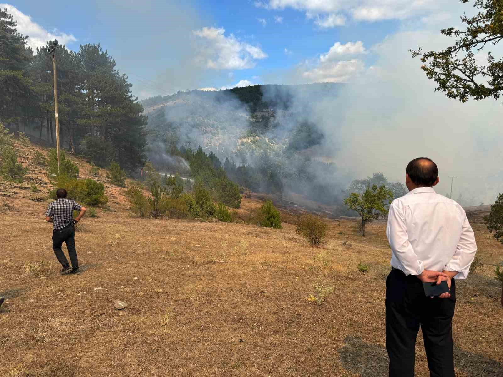 KASTAMONU'NUN HANÖNÜ VE TAŞKÖPRÜ İLÇELERİ SINIRINDA BULUNAN ORMANLIK ALANDA ÇIKAN