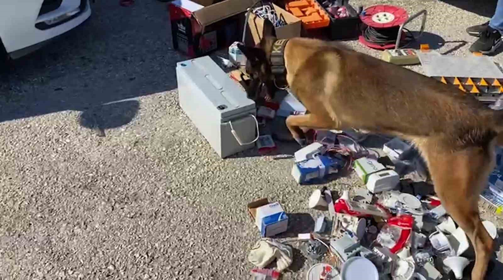 KASTAMONU'DA POLİS EKİPLERİ TARAFINDAN NARKOTİK KÖPEĞİ İLE ARAMA YAPILAN ARAÇTA