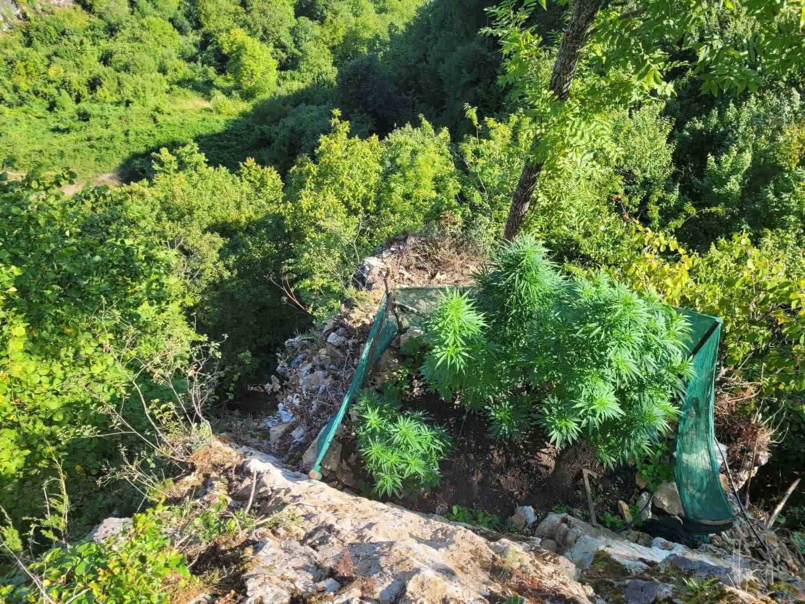 Sakarya’da jandarmadan uyuşturucu operasyonları: 6 tutuklama