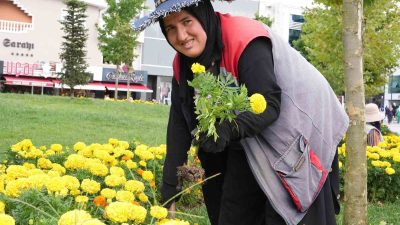 DÜZCE BELEDİYESİ SONBAHAR AYLARINA HAZIRLIK ÇALIŞMALARI ÇERÇEVESİNDE ŞEHRİN TOPRAKLARINI SONBAHAR