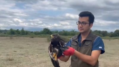 DÜZCE DOĞA KORUMA VE MİLLİ PARKLAR ŞUBE MÜDÜRLÜĞÜNDE VETERİNER HEKİMLER