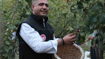 DÜZCE’NİN YÖRÜK KÖYÜNDE GERÇEKLEŞTİRİLEN FINDIK HASAT ŞENLİĞİ RENKLİ GÖRÜNTÜLERE SAHNE