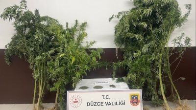 DÜZCE’DE UYUŞTURUCU İLE MÜCADELE ÇALIŞMALARI ÇERÇEVESİNDE 1 HAFTALIK SÜREÇ İÇERİSİNDE